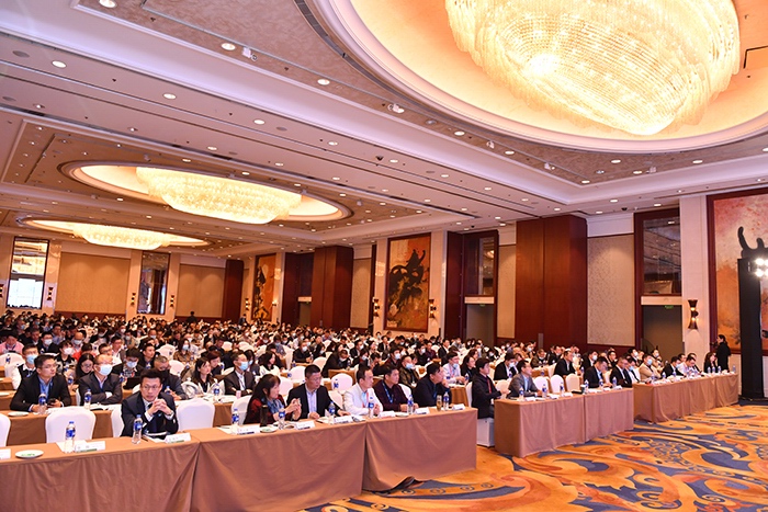 ���Q(m��o)CPLF2020��� �������D1